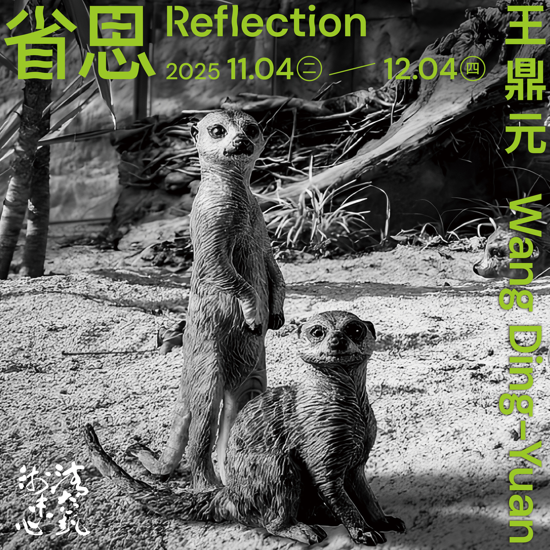"Reflection" Wang Ding-YuanImage