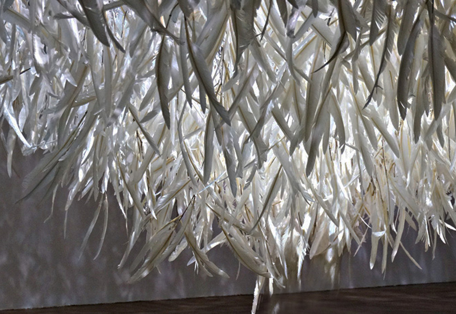 【Boundless Feather Field】 Yu Wen Fu Solo ExhibitionImage